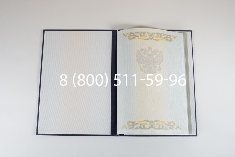 Диплом о высшем образовании 2003-2009 годов в Новороссийске